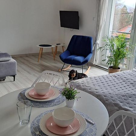 Apartamenty Bujaki Ustroń Εξωτερικό φωτογραφία