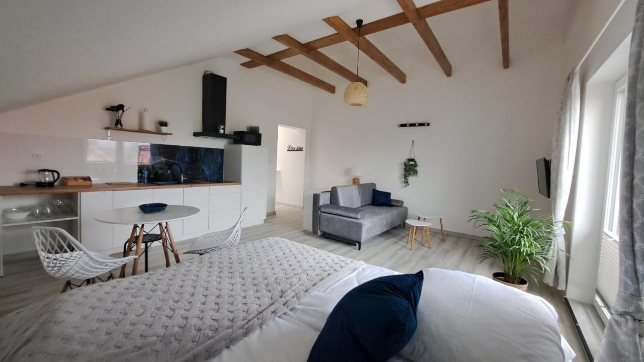 Apartamenty Bujaki Ustroń Εξωτερικό φωτογραφία
